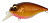 Воблер MEGABASS SR-X GRIFFON BONE KNOCKER(Bone Copper Shad)
