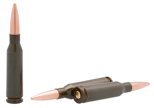 5,45х39 FMJ 3,85г лак.гильза(БПЗ) ( 30шт)